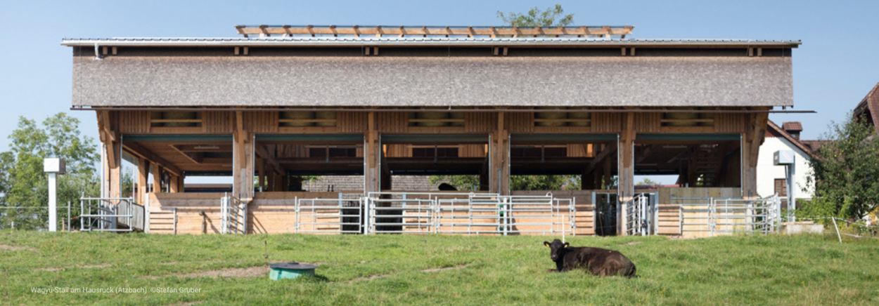 Wagyu-Stall am Hausruck (Atzbach)  ©Stefan Grube