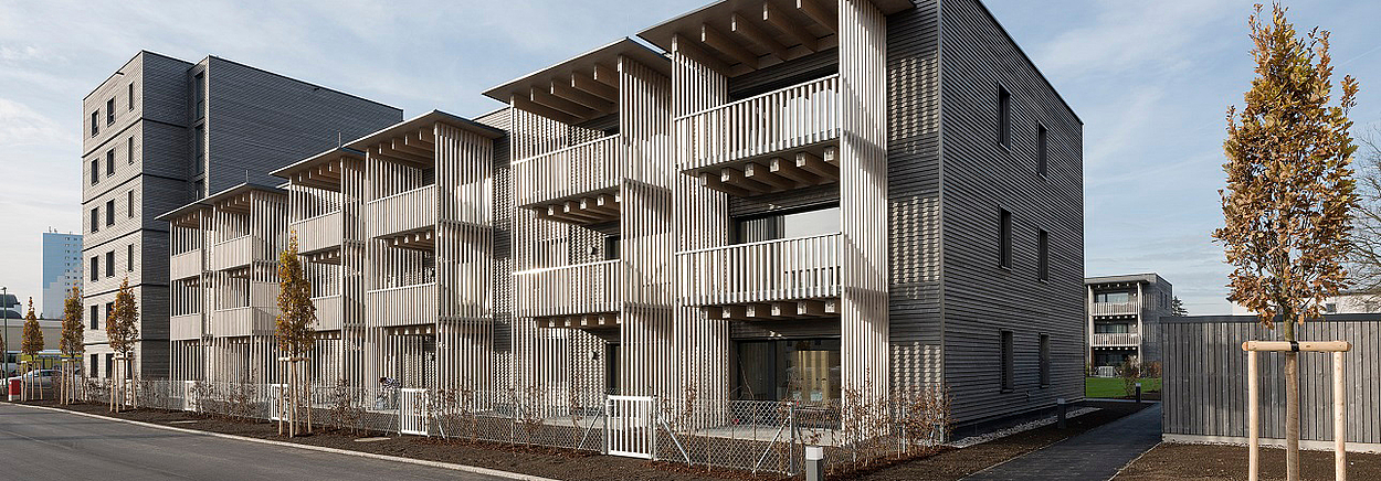Gebäude aus Holz: OÖ Holzbaupreis 2019 Gewinner - Pferdehospiz Dragonerhöfe Wels ©Walter Ebenhofer