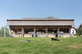 OÖ Holzbaupreis 2022 Gewinner – Wagyu-Stall am Hausruck (Atzbach) ©Stefan Gruber